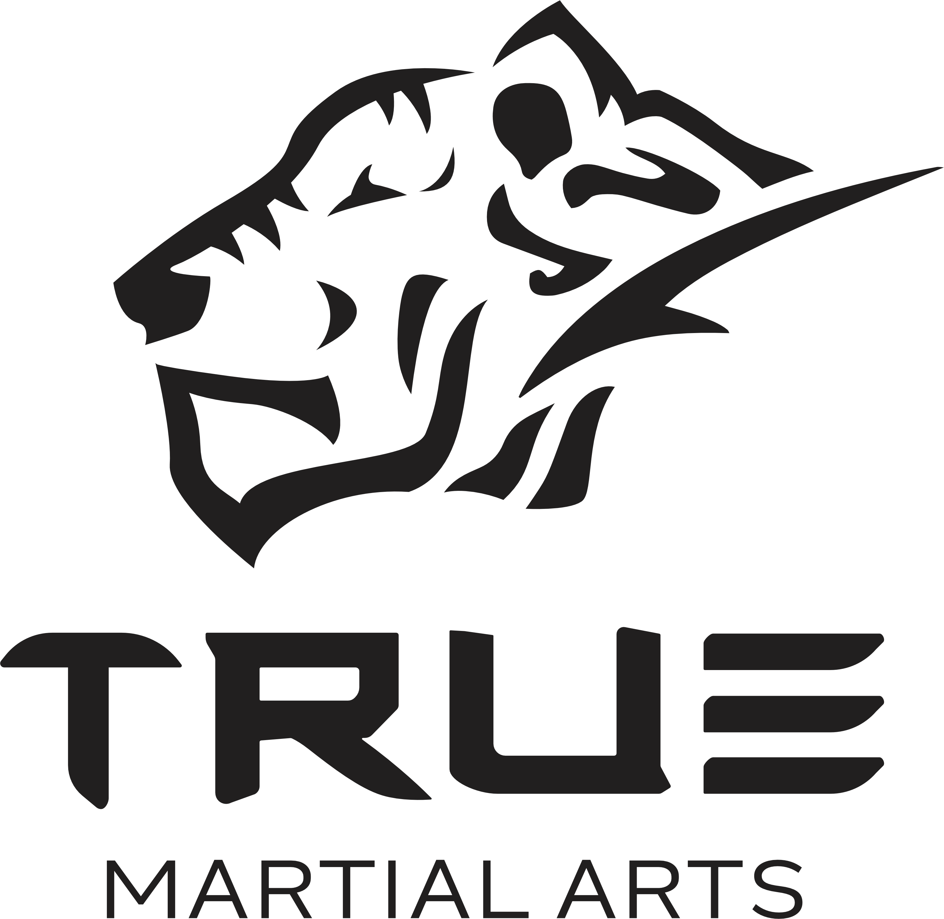 True Martial Arts
